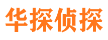 湛河市私家侦探